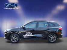 FORD Kuga 2.5i Hybrid FHEV 190 PS ST-Line AUTOMAT 4x4, Full-Hybrid Petrol/Electric, Second hand / Used, Automatic - 2