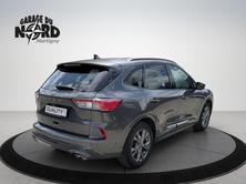 FORD Kuga 2.0 EcoBlue ST-Line 4x4, Diesel, Occasioni / Usate, Automatico - 6