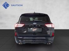 FORD Kuga 2.5 FHEV ST-Line X 4WD, Occasion / Gebraucht, Automat - 4