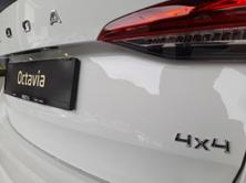 SKODA Octavia Combi 2.0 TDI Ambition 4x4 DSG, Diesel, New car, Automatic - 5