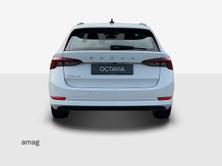 SKODA Octavia Ambition, Diesel, Occasion / Utilisé, Automatique - 6