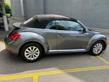 VW New Beetle Cabrio 1.4 TSI BMT Sport, Benzin, Occasion / Gebraucht, Handschaltung - 7